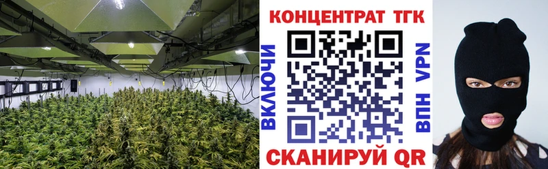 ТГК THC oil  Купить где  Калачинск 